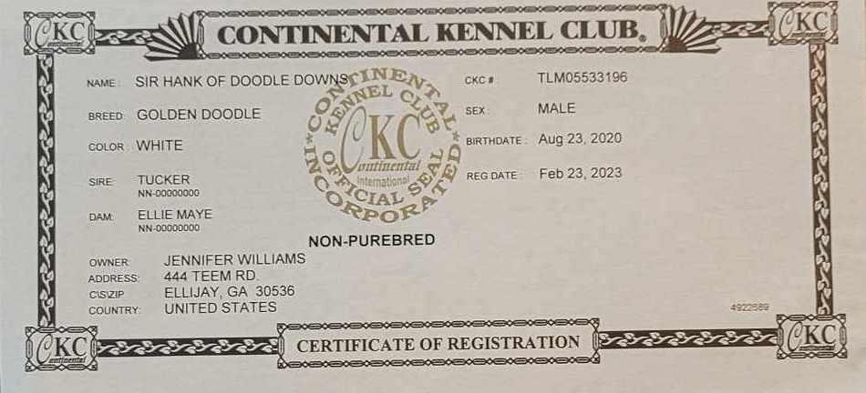 CKC Certificate for Hank (AKA Sir Hank of Doodle Downs).