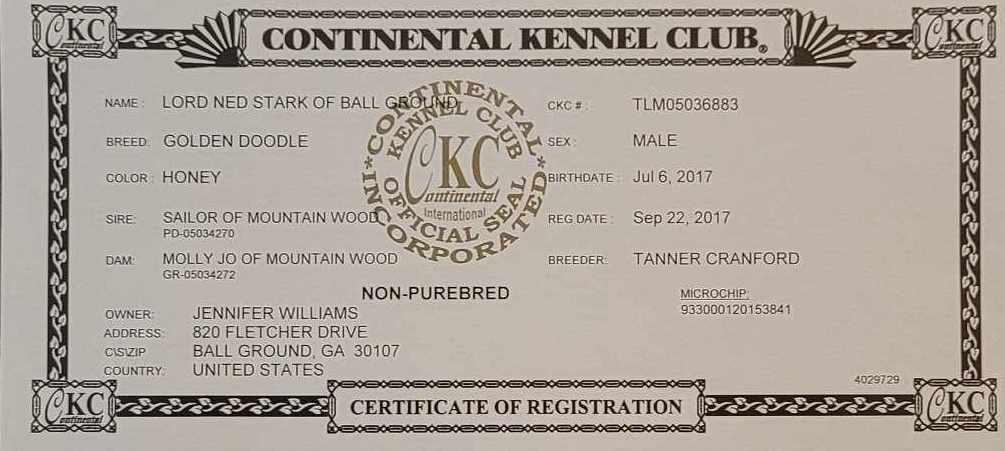 CKC certificate for Ned (AKA Lord Ned Stark of Ball ground).